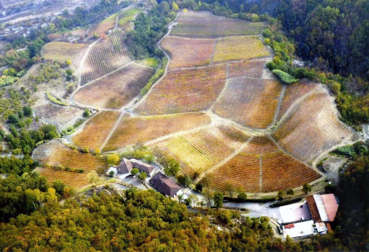 Cascina Bertolotto Wine Resort Spigno Monferrato Exterior photo