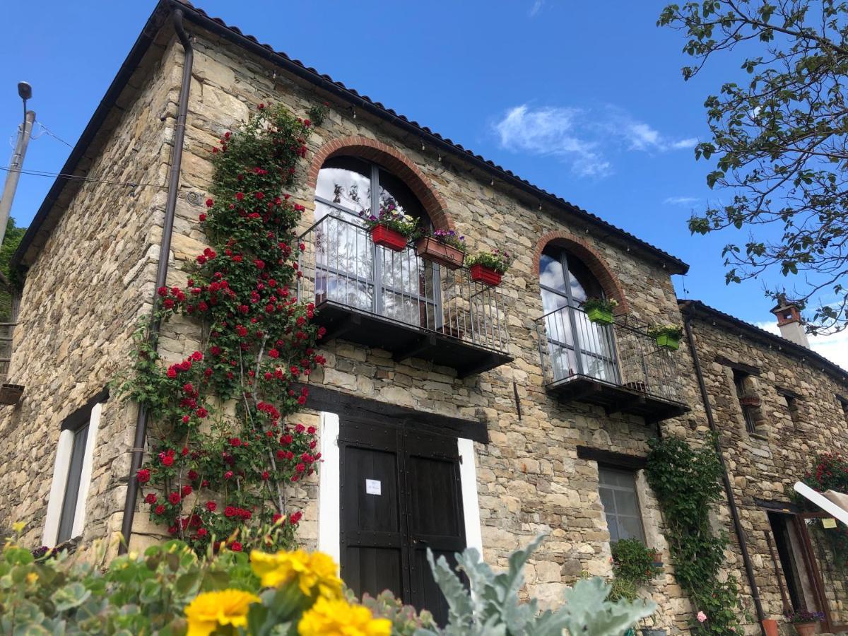 Cascina Bertolotto Wine Resort Spigno Monferrato Exterior photo