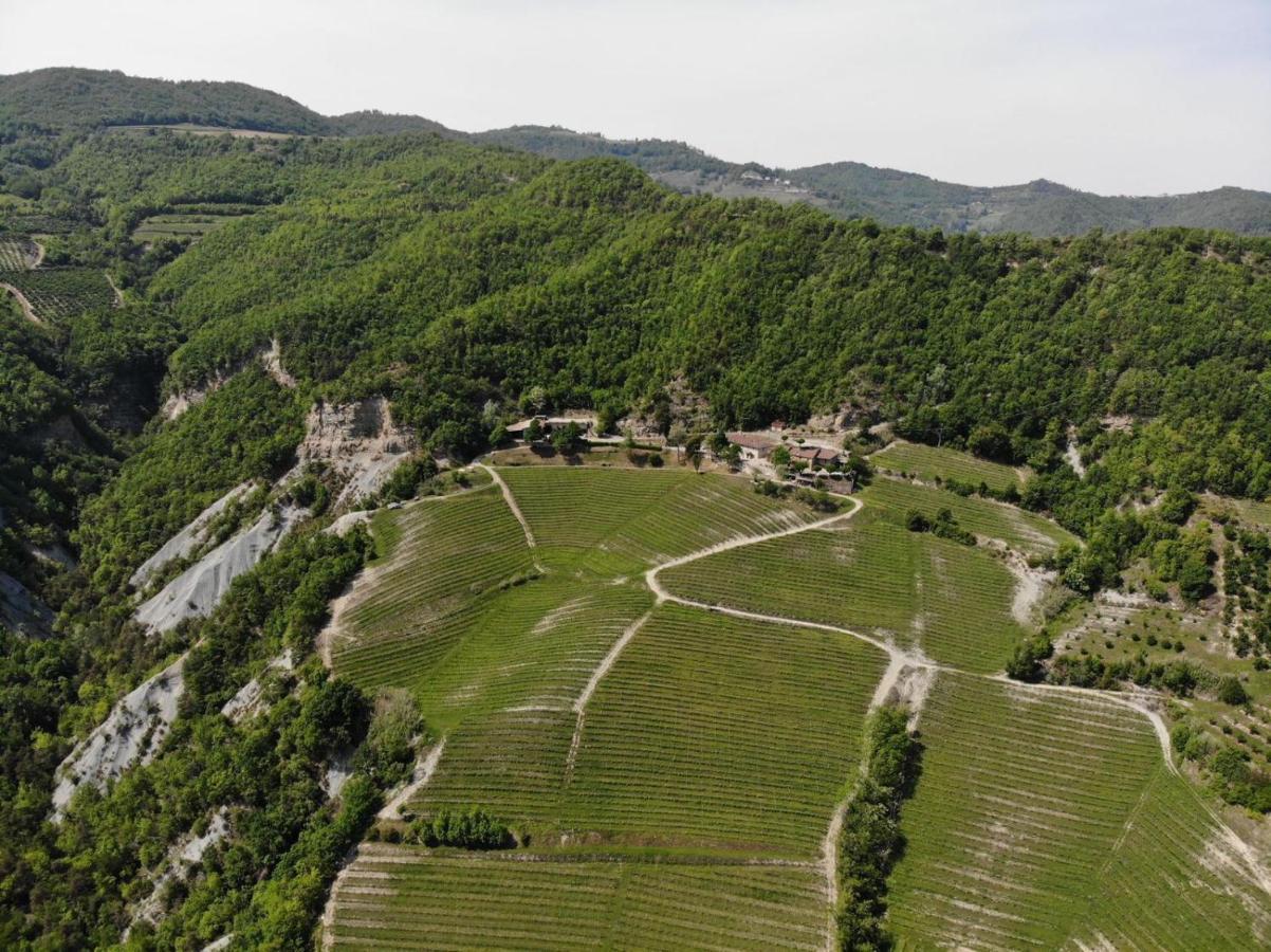Cascina Bertolotto Wine Resort Spigno Monferrato Exterior photo